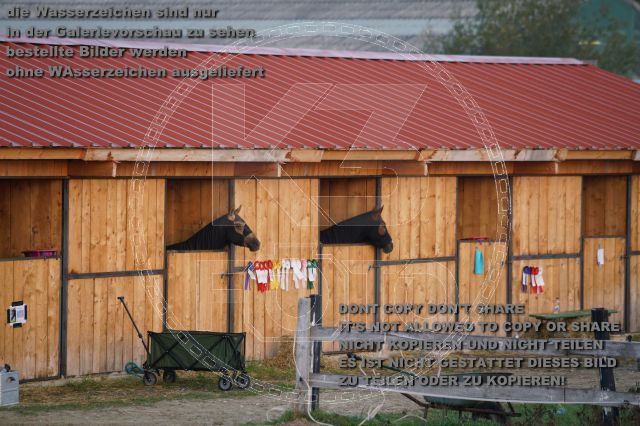 s_K3F07650.JPG